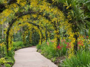 singapore_botanic-gardens_shutterstock_92813191