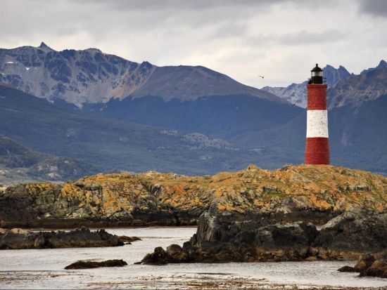 ビーグル水道クルーズ　アザラシ島＆海鳥島ツアー＜英語ガイド／ウシュアイア発＞