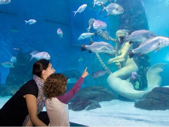 mother and daughter in sea life melbourne aquarium