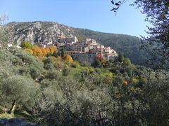 DSCF0981
