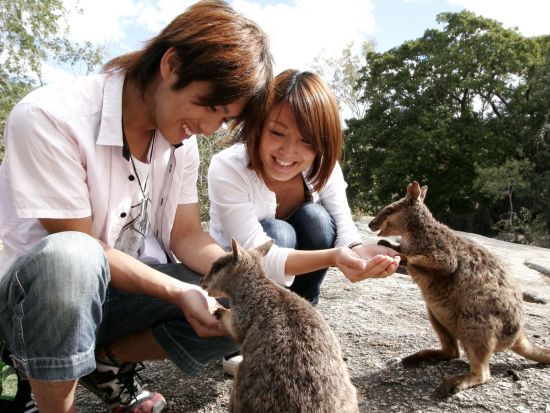 野生動物に出逢える熱帯雨林探検＆BBQツアー＜日本語ガイド＞