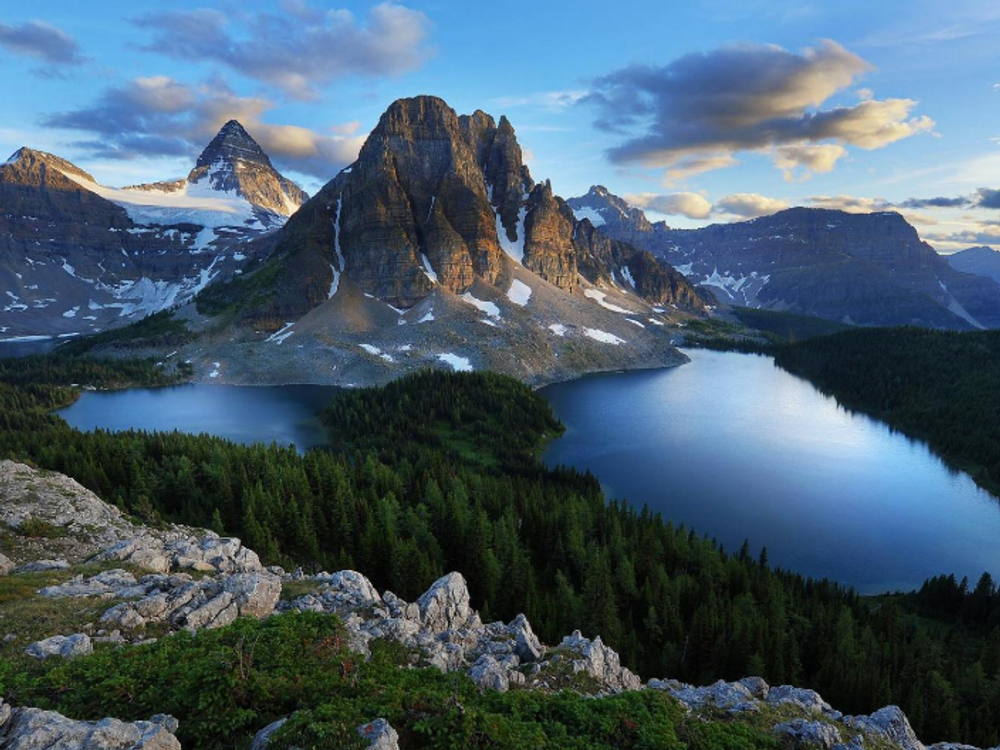 20170328070957_1708012458_3154