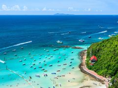coral-island 14