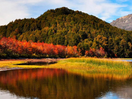 「世界の果て号」に乗る！ティエラ・デル・フエゴ国立公園と南フエゴ鉄道乗車ツアー＜混載／英語ガイド／ウシュアイア発＞