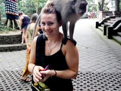 Feeding-Monkey