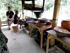 coffee-plantation