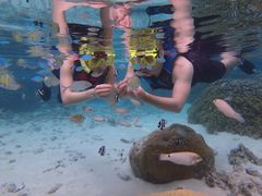 snorkeling 01