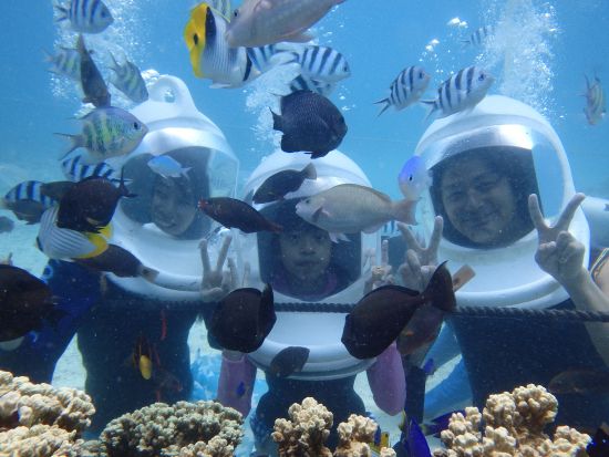 アクアウォーク＋ビーチシュノーケリング　選べるパラセーリング or イルカウォッチング付プランあり＜日本語ガイド／送迎付き＞by スキューバカンパニー