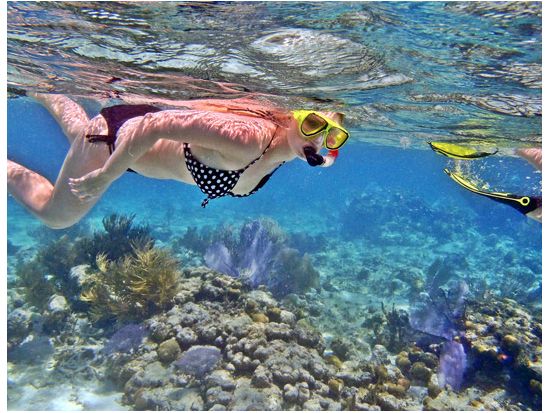 レンボンガン島・ヌサペニダ日帰りシュノーケリングツアー　高確率でマンタに会える！＜1日／送迎／ランチ付＞by ブルーシーズン・バリ