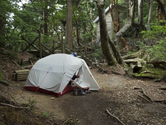 縄文杉＆白谷雲水峡（太鼓岩まで） 1泊2日キャンプツアー 自然の中で食べるご飯は格別！ガイドの手作り料理付き＜貸切、装備レンタル可能＞ by屋久島ガイド山好き