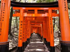 Fushimi Inari gates