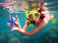 Sea Hawaii 05