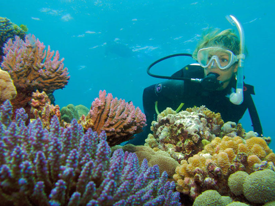 Great Barrier Reef tour