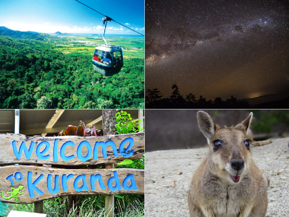 【野外品】ニジイロクワガタWD オーストラリア・クイーズランド州キュランダ村採集 野外品】ニジイロクワガタ♂:オーストラリア・クイーズランド州