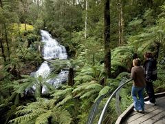 great-ocean-road-otways2