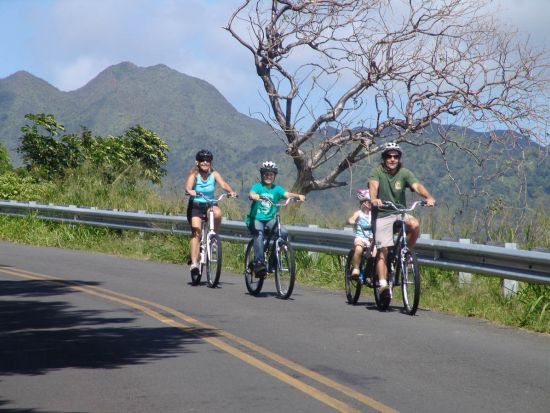 オアフ島 マウンテンバイクツアー　絶景ポイントを眺めながらタンタラスの丘を自転車で下る約8kmのコース　初心者～中級者向け＜英語ガイド＞