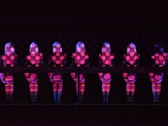 クレイジーホース(Crazy Horse) フレンチキャバレー ショー＜往復ホテル貸切送迎付＞