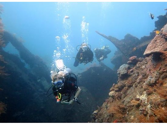ファンダイビング トランベン／ヌサ・ペニダなど有名スポットへ！器材レンタル込み＜ビーチ or ボート／1～3ダイブ＞by ブルーシーズン・バリ