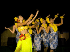 hulagirls