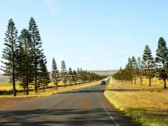 Hawaii_Lanai_Expeditions_Trekker Tour_Manele Road