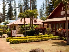 Lanai Island Guided 4x4 SUV Sightseeing Trekker Tour with Maui to Lanai ...