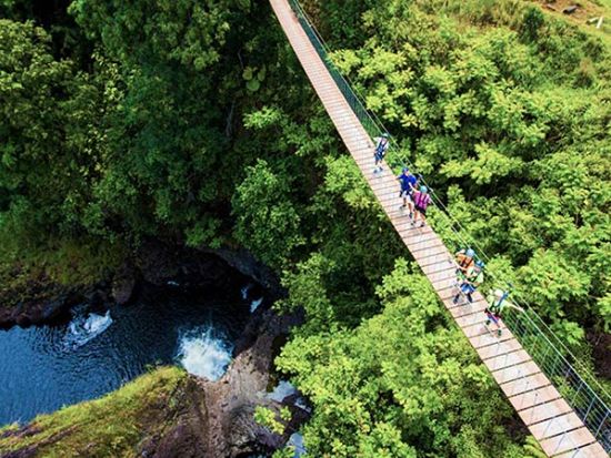 ハワイ島　ジップライン体験9本　19以上の滝の上を滑走し大自然を満喫！滝での水泳アドベンチャー付き ＜英語インストラクター＞ 