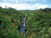 Hawaii_Big Island_Umauma Falls_Rappel and River