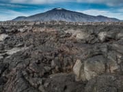 Iceland Lava Fields