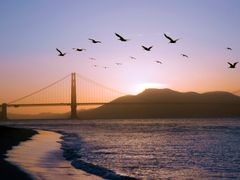 Sunset Tour 2-crop