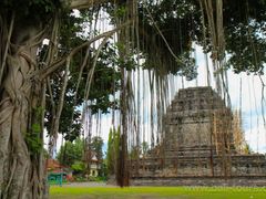 06_borobudur_prambanan_131