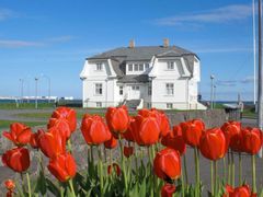 Reykjavik Sightseeing Tour by Minibus