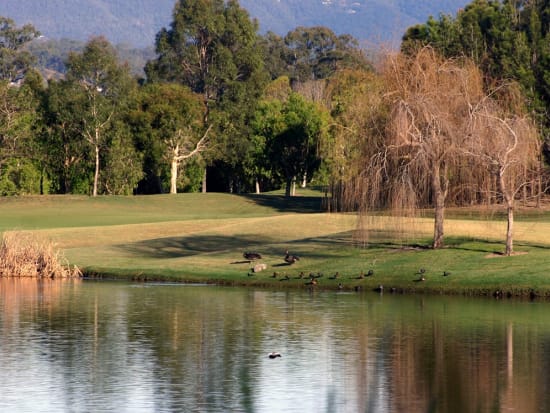 レイクランズ送迎つきゴルフツアー 湖と緑に囲まれ爽快プレイ！＜日本語対応可能／ゴールドコースト発＞