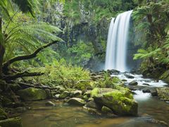 Hopetoun Falls Otway Ranges Rainforest GOR