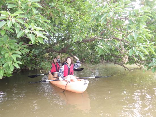 億首川マングローブカヤックツアー 初心者や家族旅行にもおすすめ！ゆったりと楽しめる ＜2歳から参加可／沖縄本島中部＞by 海遊倶楽部