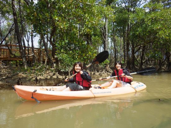 億首川マングローブカヤックツアー 初心者や家族旅行にもおすすめ！ゆったりと楽しめる ＜2歳から参加可／沖縄本島中部＞by 海遊倶楽部