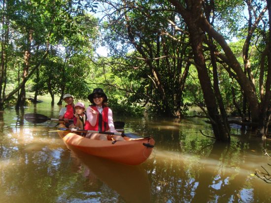億首川マングローブカヤックツアー 初心者や家族旅行にもおすすめ！ゆったりと楽しめる ＜2歳から参加可／沖縄本島中部＞by 海遊倶楽部