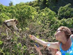 Monkey Beach