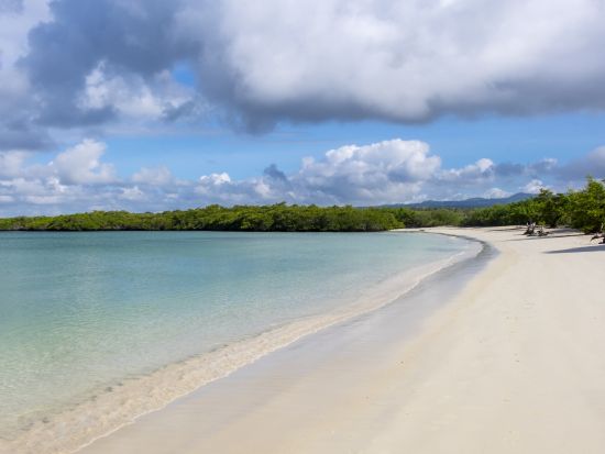 世界遺産ガラパゴス諸島トルトゥーガベイ＆ロベリア島クルーズ終日観光ツアー＜日・月・水・金催行／1日／英語ガイド／プエルトアヨラ発＞