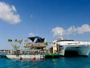 Bali Hai Reef Cruise (12)