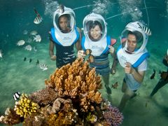 Aquanauts (2)