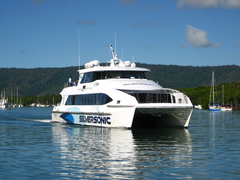 Great Barrier Reef Tour Agincourt Ribbon Reefs