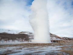 Iceland, Golden Circle, Snorkeling