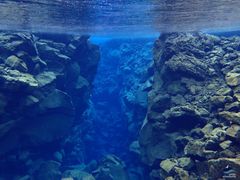 Iceland, Silfra, Snorkeling