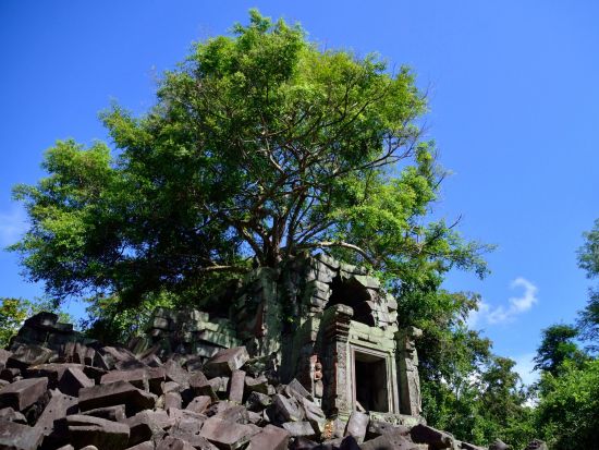 ベンメリア+トンレサップ湖クルーズ付き1日観光ツアー＜昼食付／専用車プラン＆お洒落なクメールレストランでのアプサラダンスディナーショー付きプランあり＞