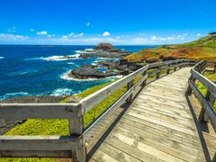Melbourne Phillip Island Nobbies