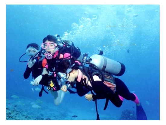 体験ダイビング アラモアナ沖の穏やかな海で気軽にトライ！＜アラモアナ／ビーチ／1ダイブ＞by グランブルー
