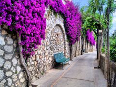 Capri Island Tour from Naples