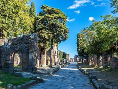 Pompeii Group Tour from Naples