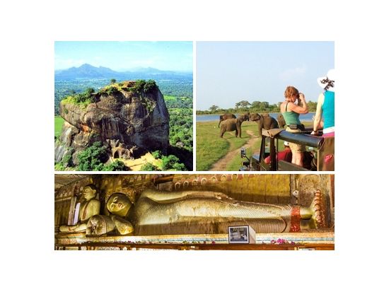 【1泊2日 or 2泊3日】スリランカ宿泊ツアー　世界遺産シーギリヤ＆ダンブッラ＆ミンネリヤ国立公園＆象乗り ＜貸切／日本語ガイド＞