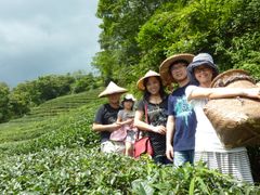 Bagua Tea Plantation Taipei